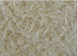 Manufacturers Exporters and Wholesale Suppliers of Pr 11 Steam Rice Nagpur Maharashtra